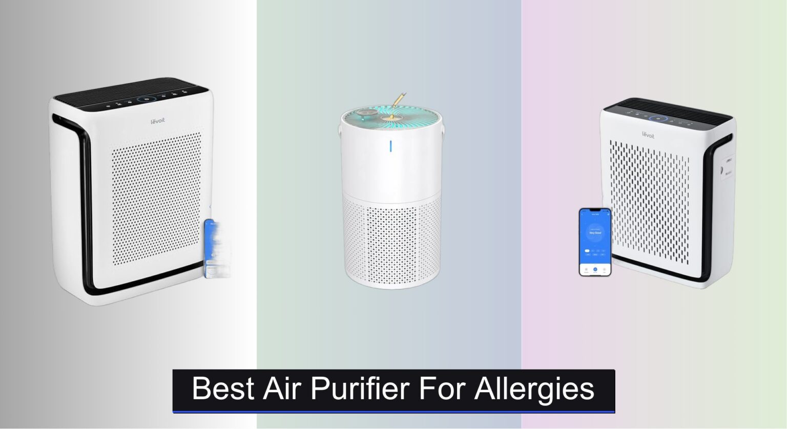 8 Best Air Purifiers for Allergies 2026
