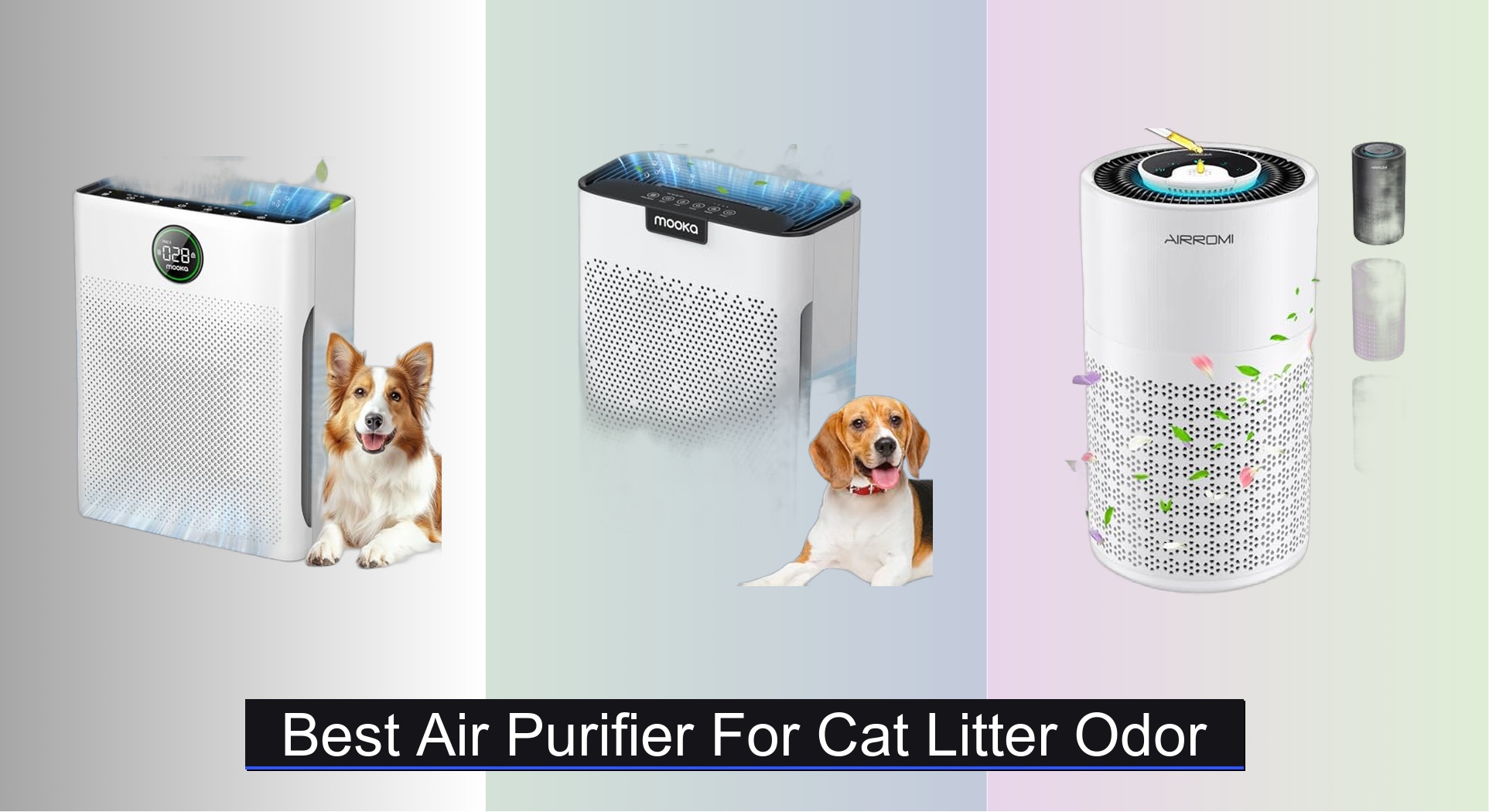 8 Best Air Purifiers for Cat Litter Odor 2026