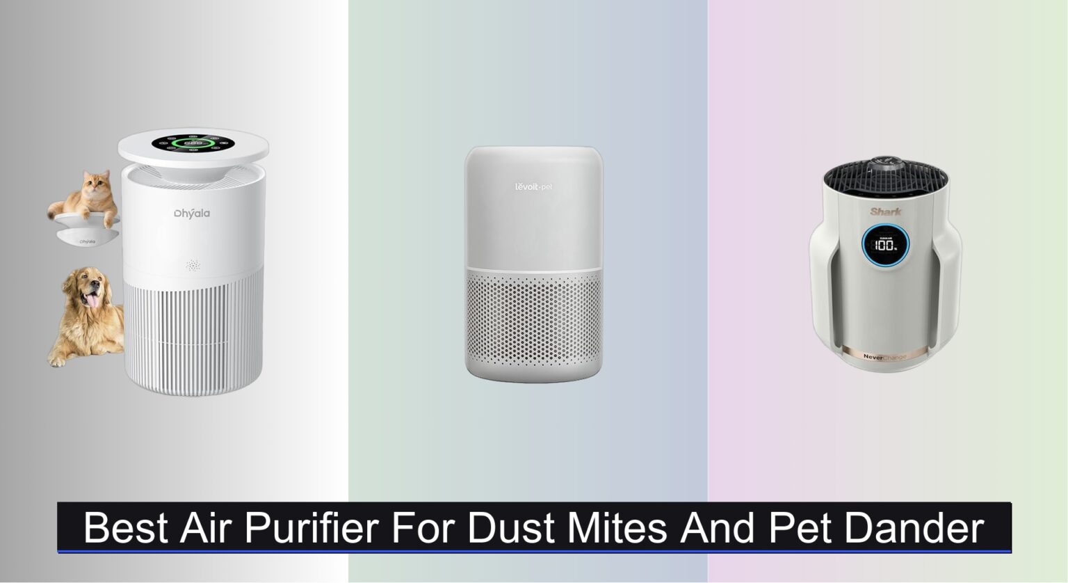 View of 7 Best Air Purifiers for Dust Mites & Pet Dander 2025