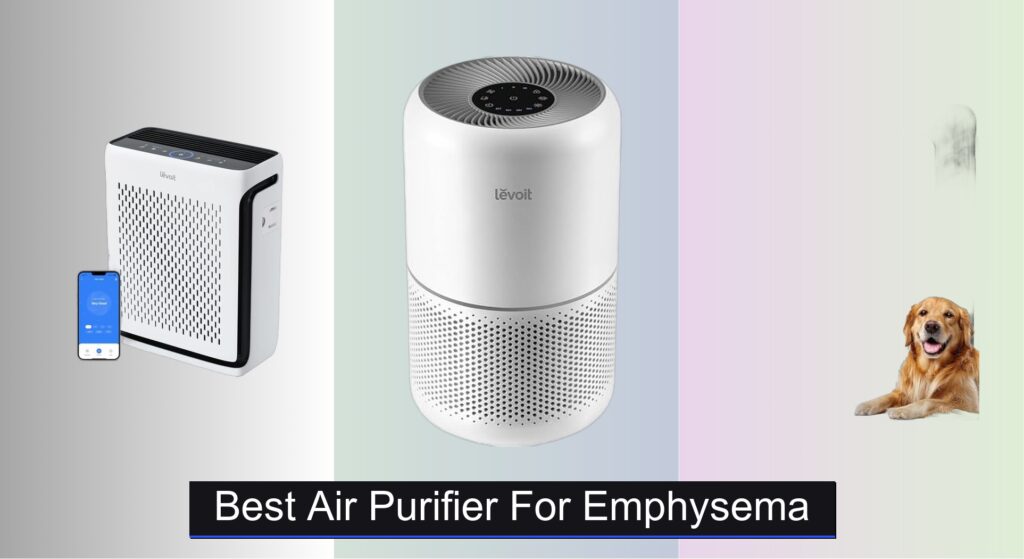8 Best Air Purifiers for Emphysema (2025 Guide)