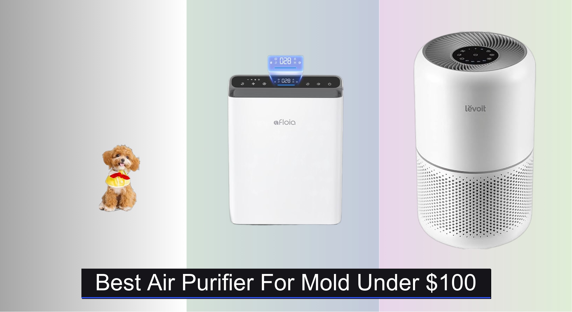 Fresh Look at 7 Best Air Purifiers For Mold Under 100 2026 Guide