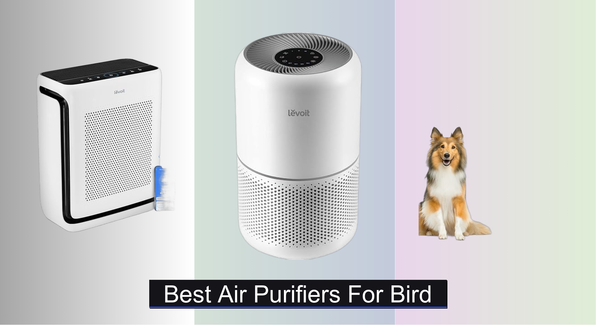 Image showcasing 7 Best Air Purifiers for Birds in 2026