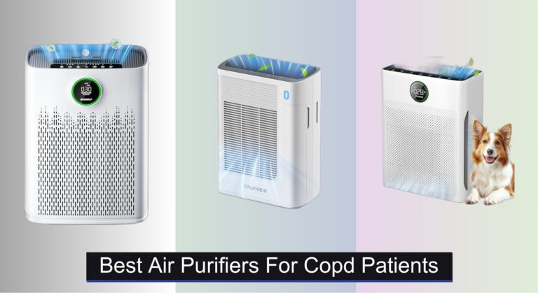 7 Best Air Purifiers for Large Rooms 2026