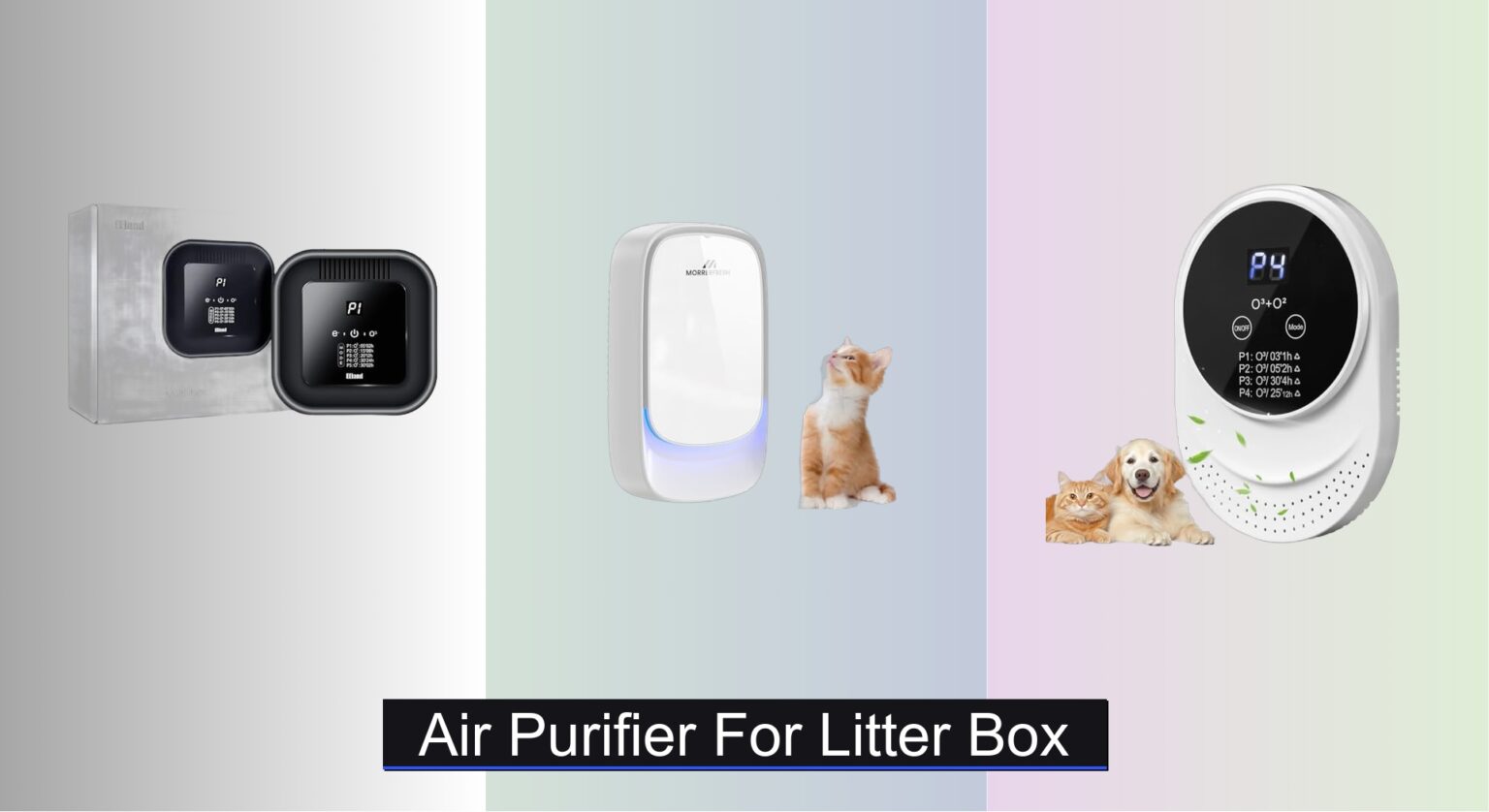 8 Best Air Purifiers for Litter Box 2026