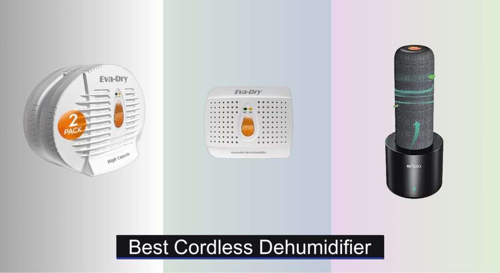 7 Best Cordless Dehumidifiers of 2025