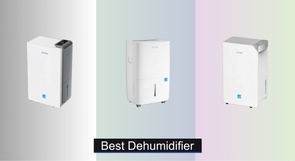 9 Best Dehumidifiers of 2025