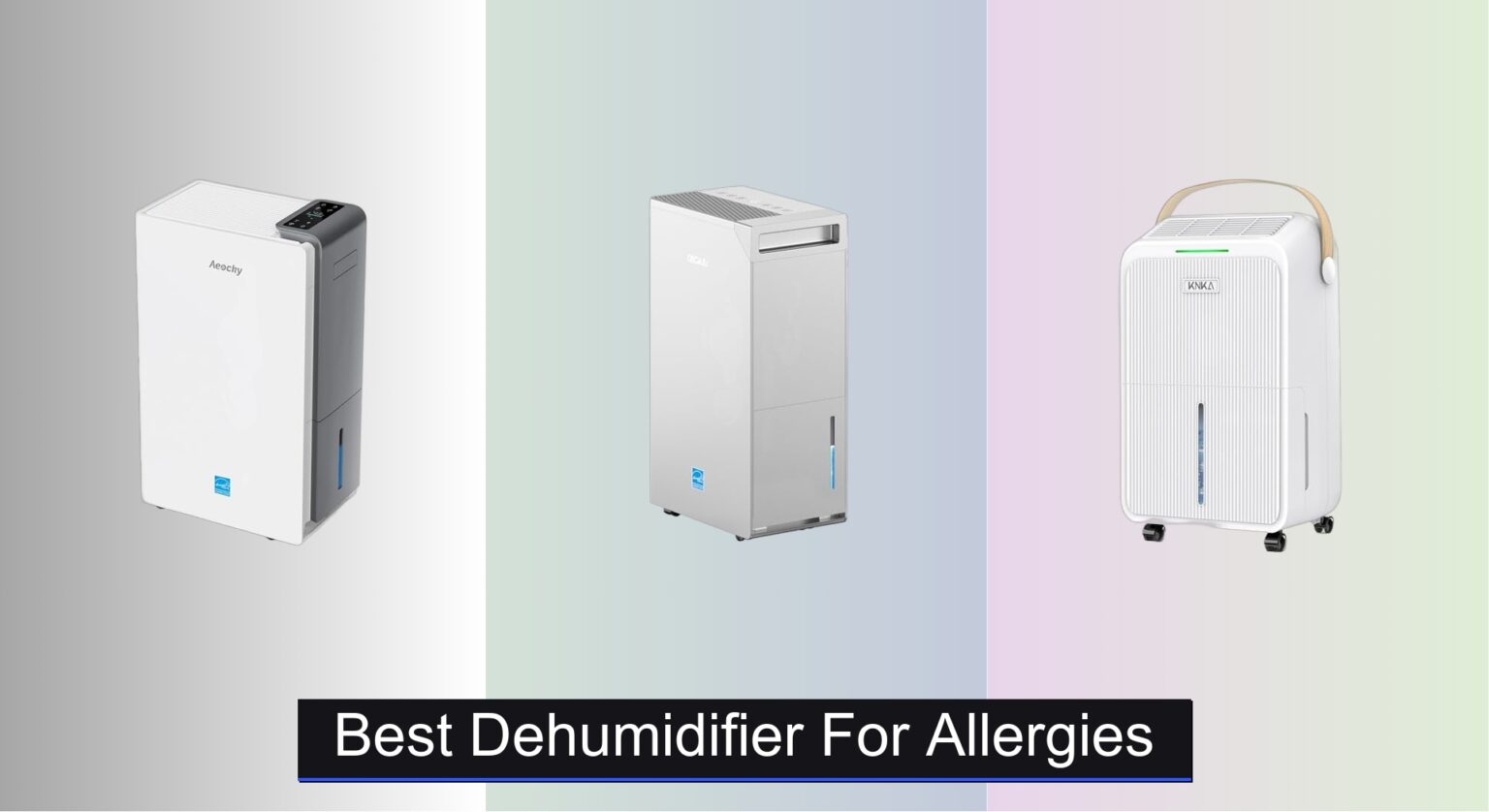 Humidifier Or Dehumidifier For Allergies