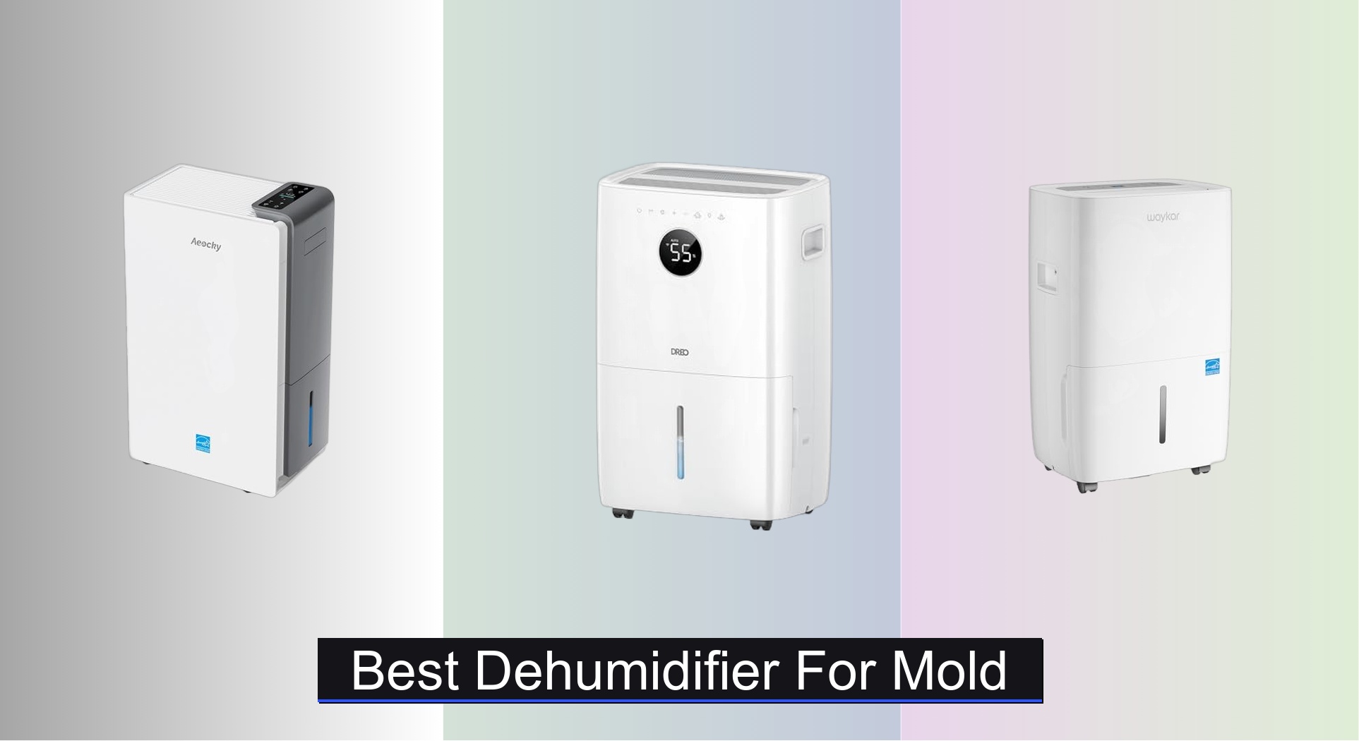 8 Best Dehumidifiers for Mold 2026