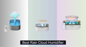 7 Best Rain Cloud Humidifiers of 2025