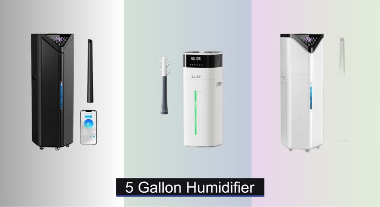 8 Best 5 Gallon Humidifiers of 2026