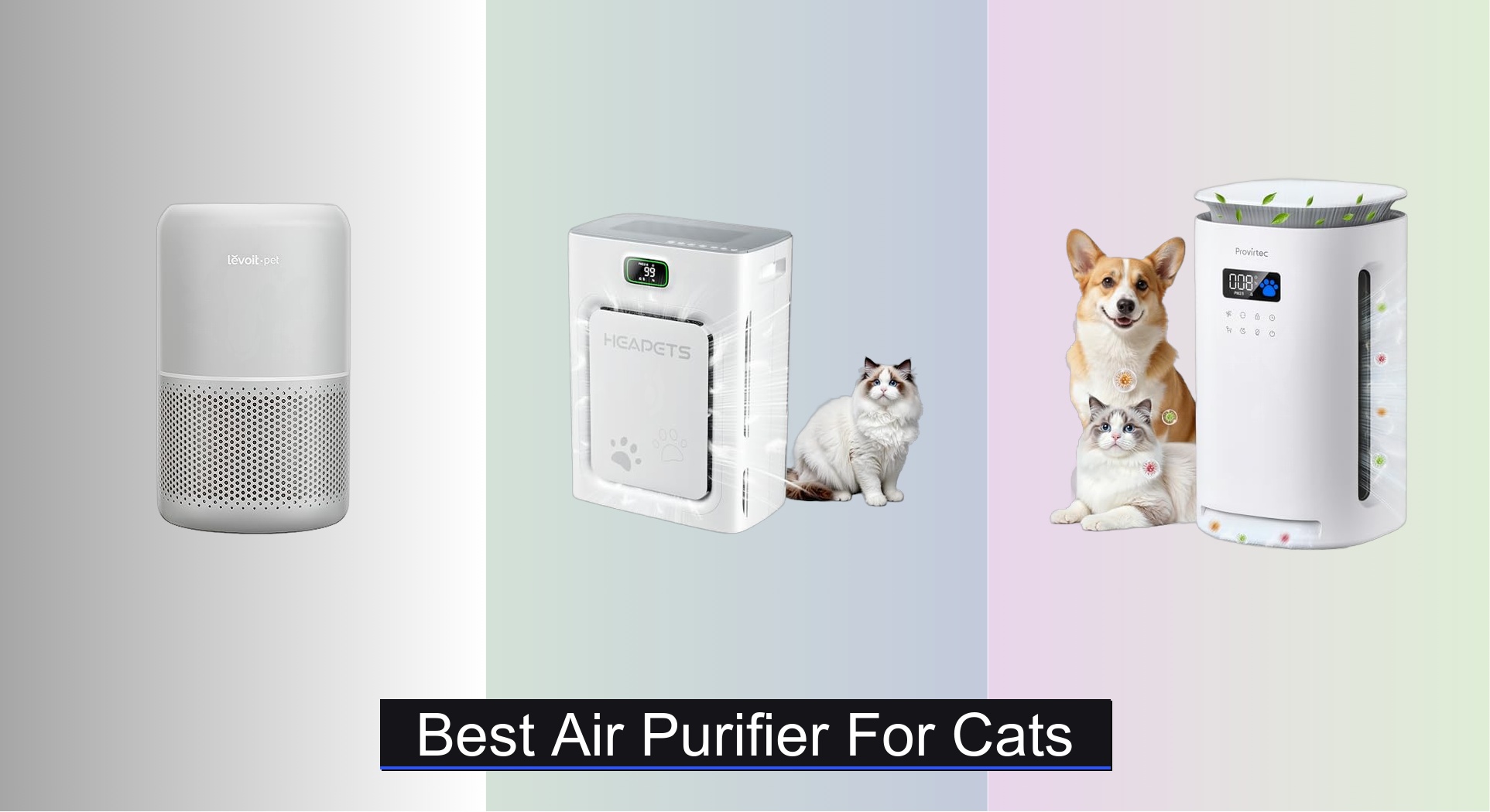 8 Best Air Purifiers for Cats 2026
