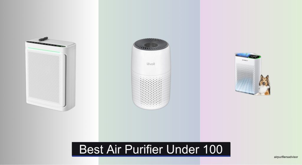 9 Best Air Purifiers Under $100 (2026 Guide)
