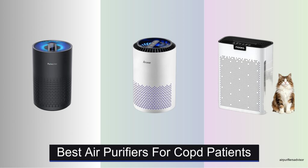 8 Best Air Purifiers for COPD Patients 2026