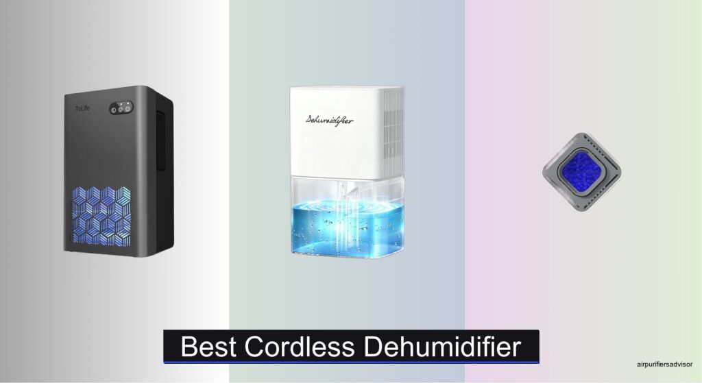 7 Best Cordless Dehumidifiers of 2026
