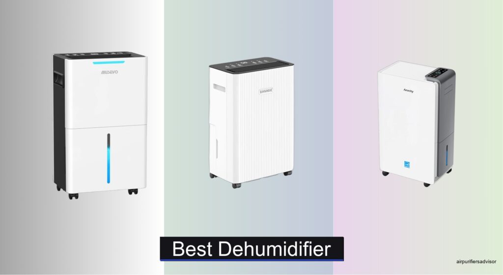 8 Best Dehumidifiers of 2026